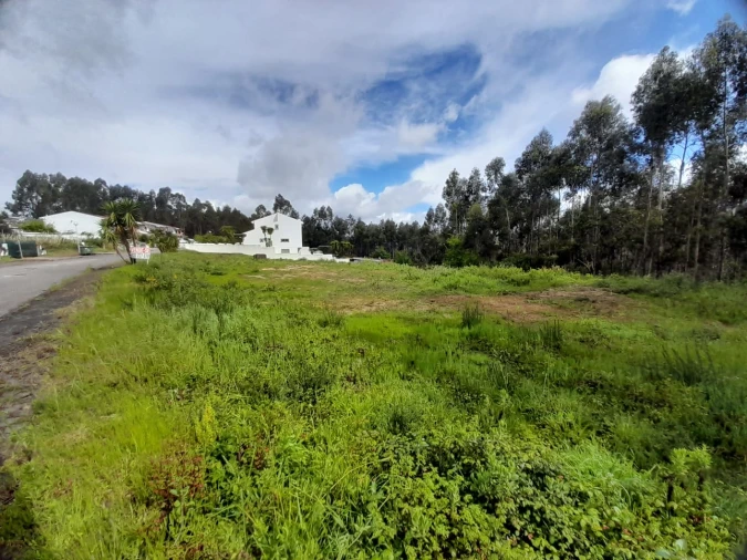 Terreno para Venda em Cesar Foto 3