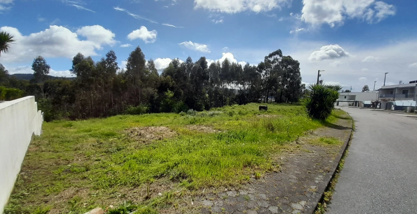 Terreno para Venda em Cesar Foto 2