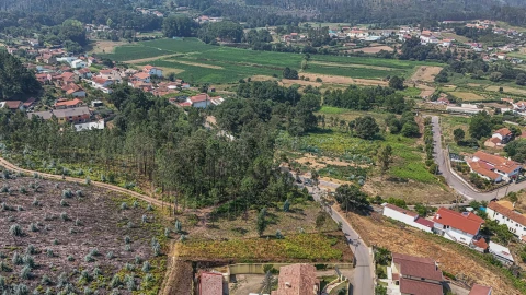 Terreno para Venda em Ossela