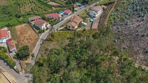 Terreno para Venda em Ossela