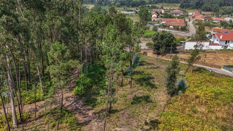 Terreno para Venda em Ossela