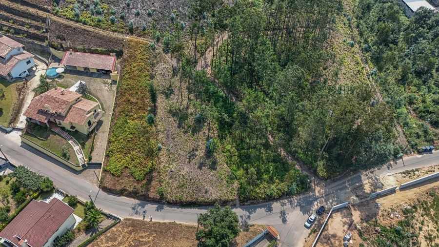Terreno para Venda em Ossela Foto 3
