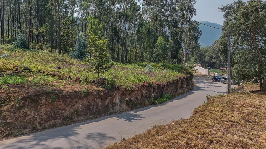 Terreno para Venda em Ossela Foto 7