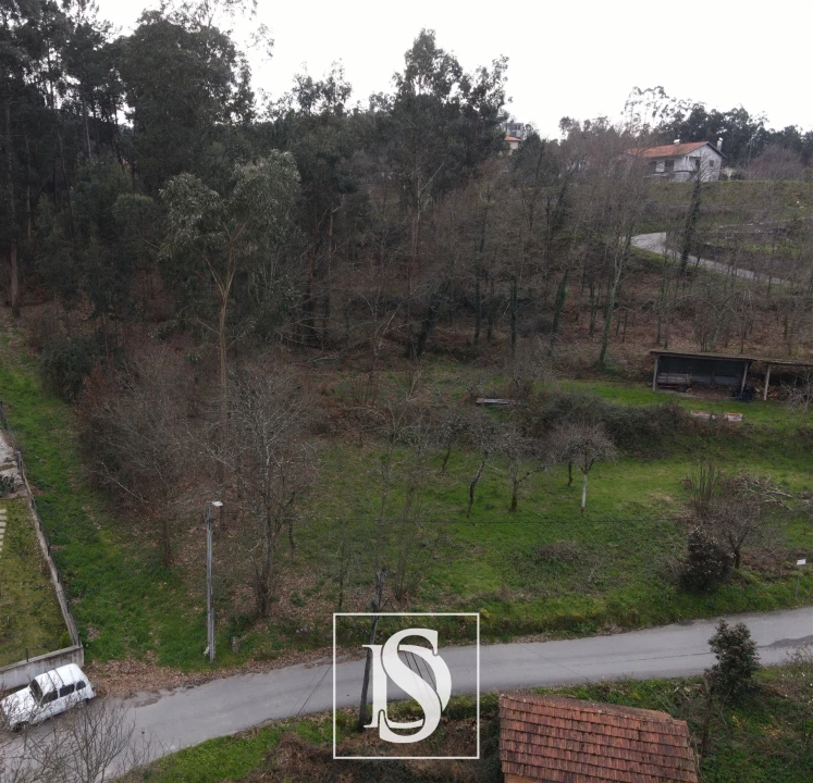 Terreno Agricola ou Rústico para Venda em Arouca e Burgo Foto 6