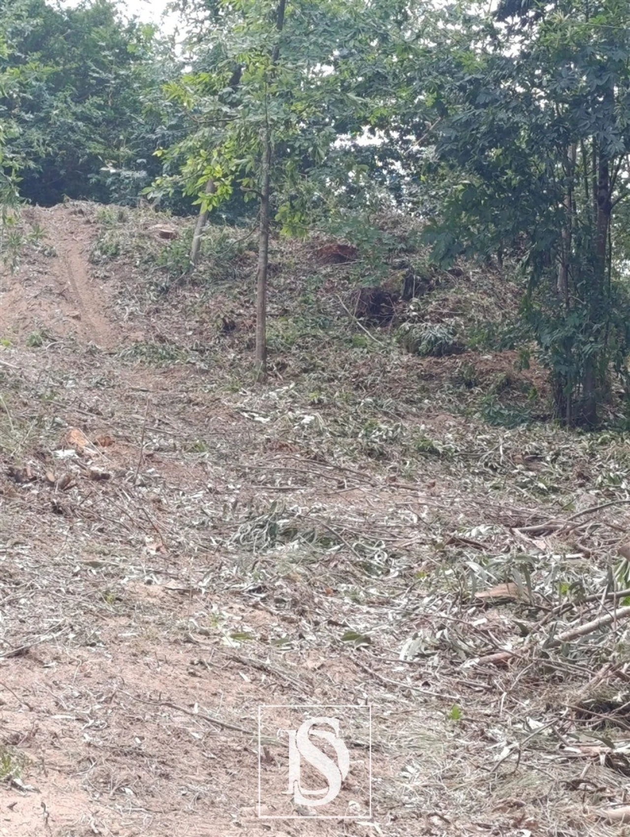Terreno Agricola ou Rústico para Venda em Arouca e Burgo Foto 4