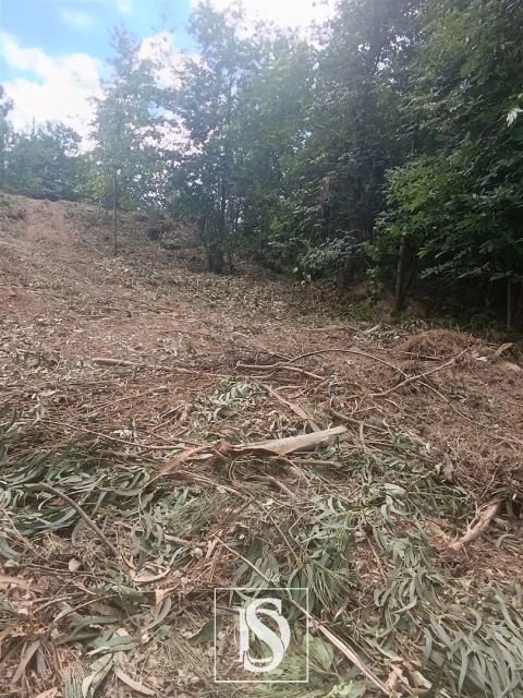 Terreno Agricola ou Rústico para Venda em Arouca e Burgo