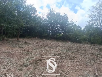 Terreno Agricola ou Rústico para Venda em Arouca e Burgo
