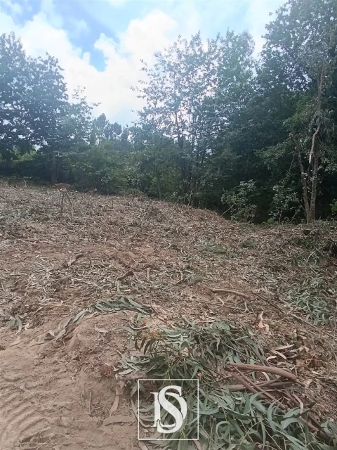 Terreno Agricola ou Rústico para Venda em Arouca e Burgo