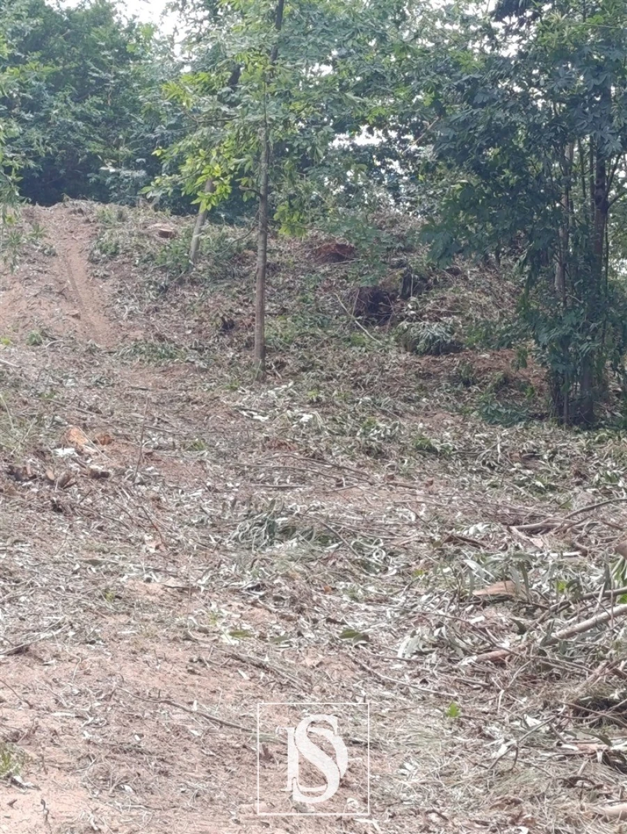 Terreno Agricola ou Rústico para Venda em Arouca e Burgo Foto 4