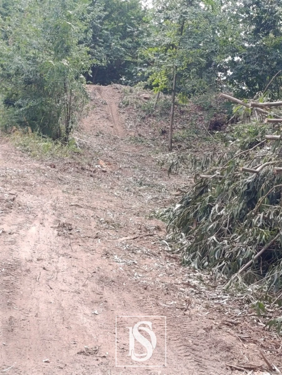 Terreno Agricola ou Rústico para Venda em Arouca e Burgo Foto 2