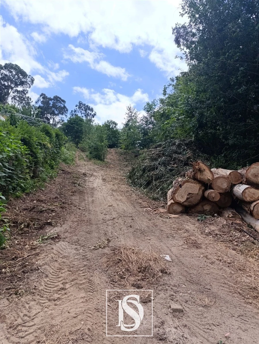 Terreno Agricola ou Rústico para Venda em Arouca e Burgo Foto 5