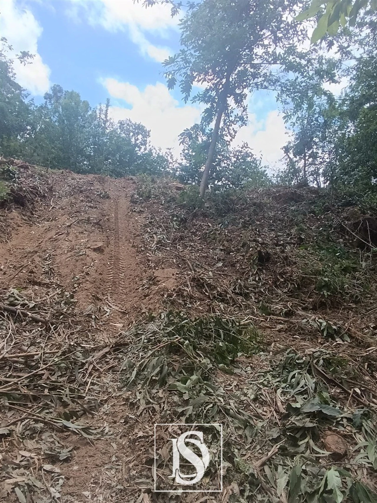 Terreno Agricola ou Rústico para Venda em Arouca e Burgo Foto 3