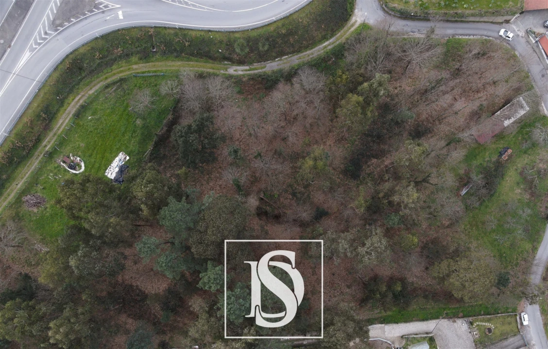 Terreno Agricola ou Rústico para Venda em Arouca e Burgo Foto 1