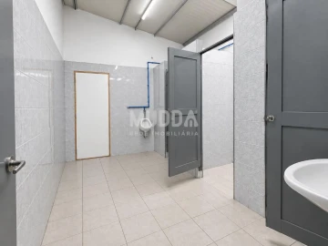 Armazém para Arrendamento em Cortegaça