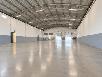 Armazém para Arrendamento em Cortegaça