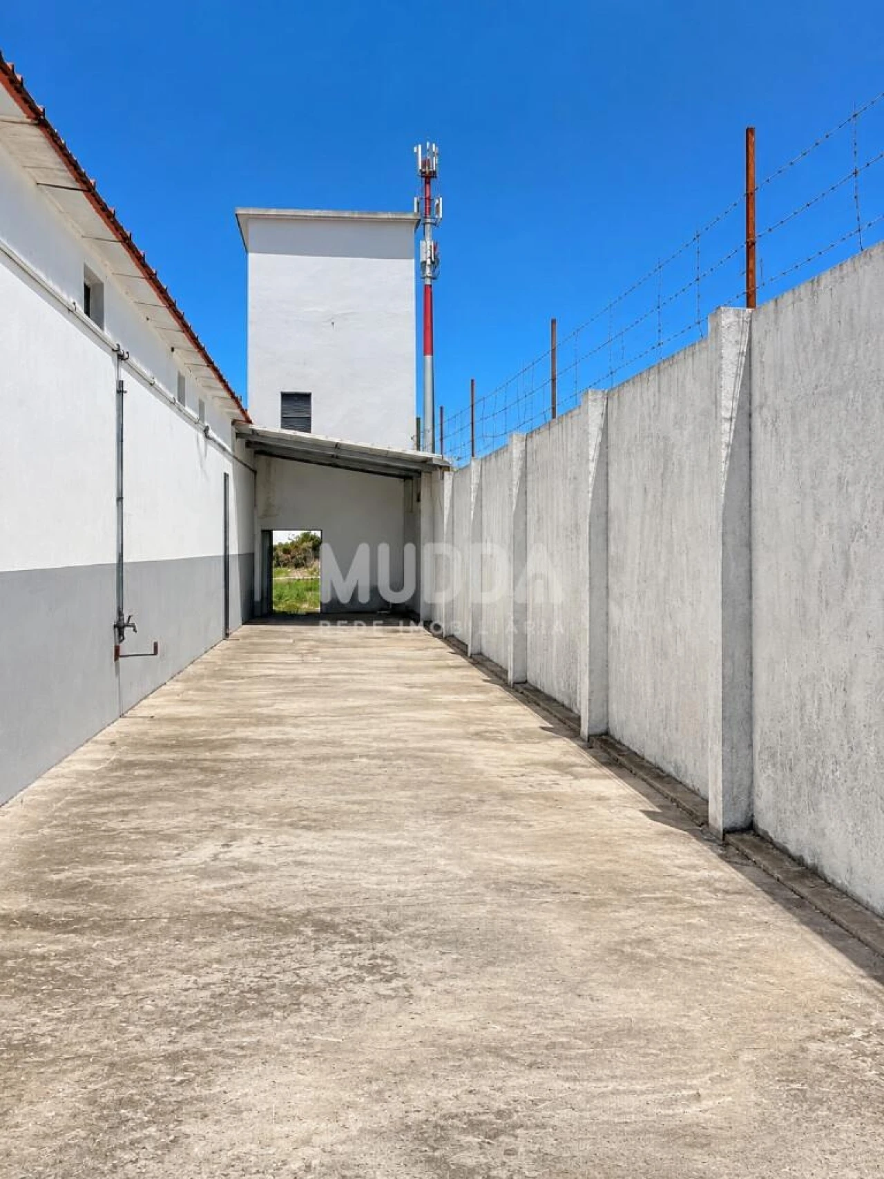 Armazém para Arrendamento em Cortegaça Foto 10
