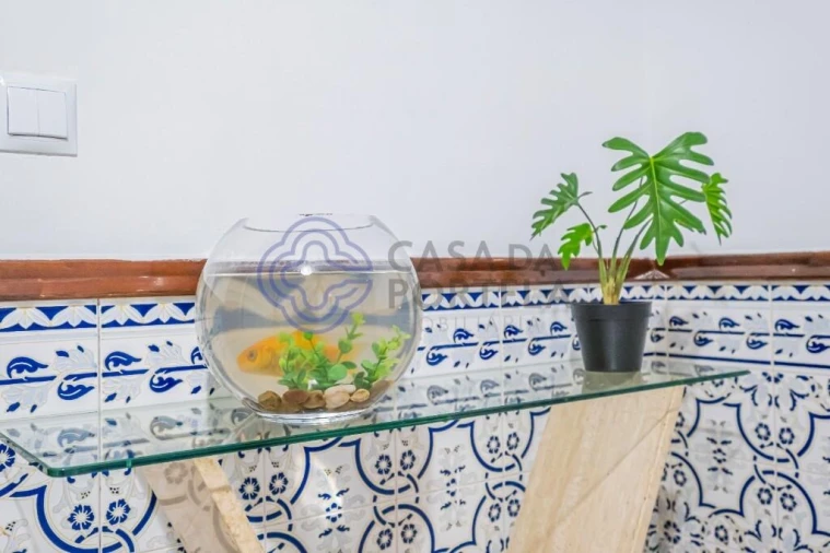 Apartamento T1 para Venda em Cacém e São Marcos Foto 17