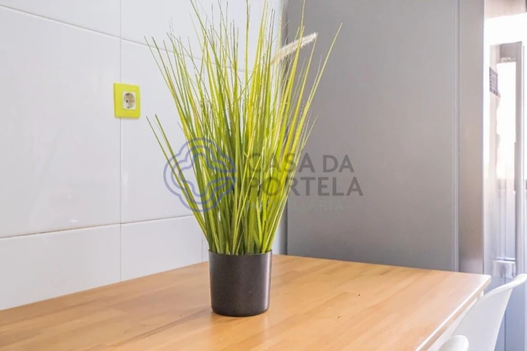 Apartamento T1 para Venda em Cacém e São Marcos Foto 13