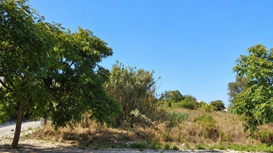 Terreno para Venda em Buarcos
