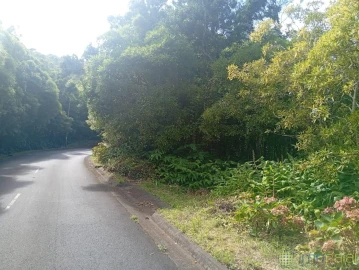 Terreno para Venda em Praia do Norte
