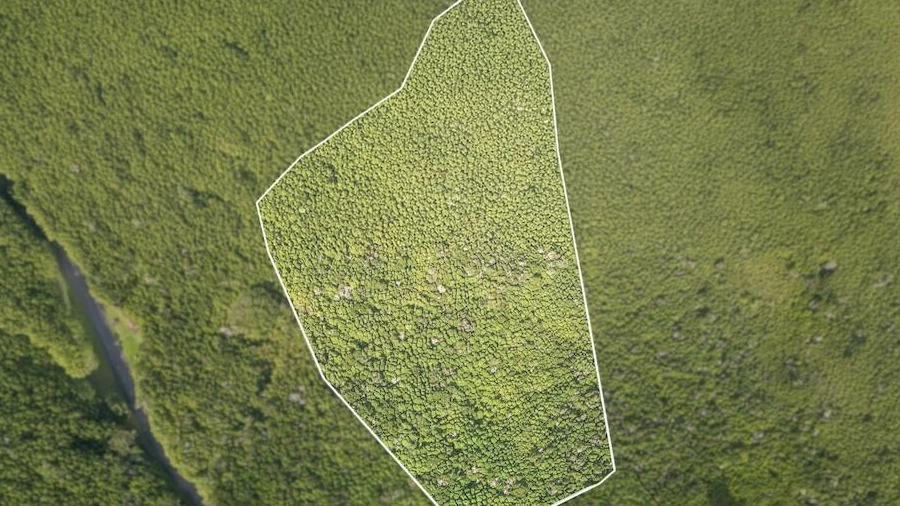 Terreno para Venda em Praia do Norte