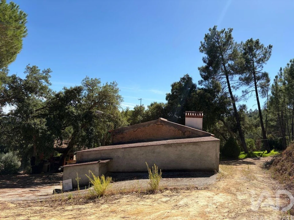 Terreno para Venda em Mação, Penhascoso e Aboboreira Foto 23