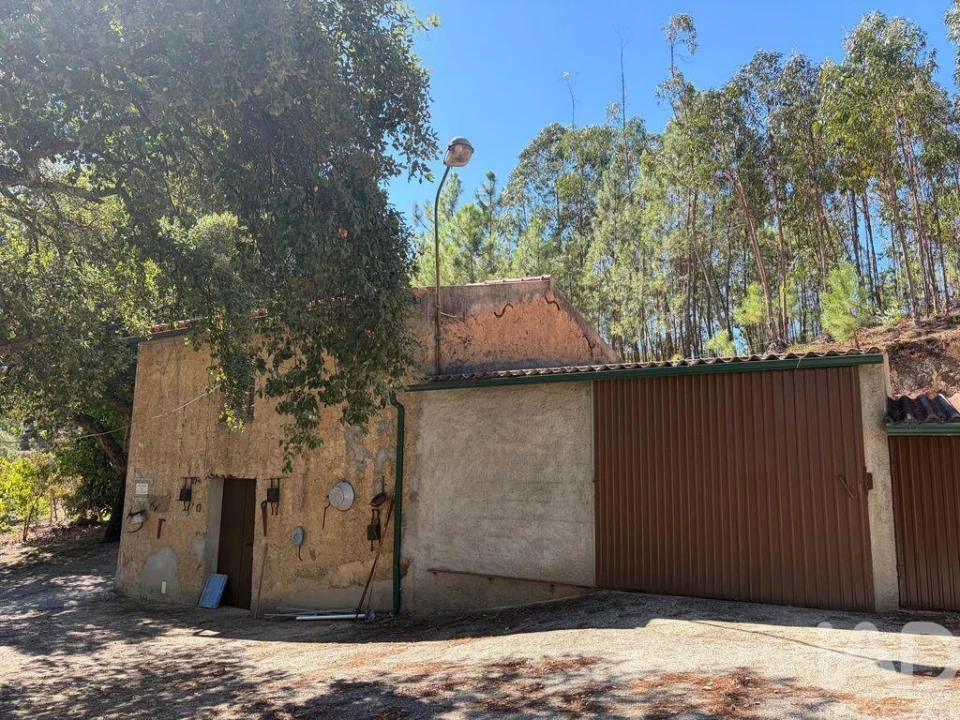Terreno para Venda em Mação, Penhascoso e Aboboreira Foto 13