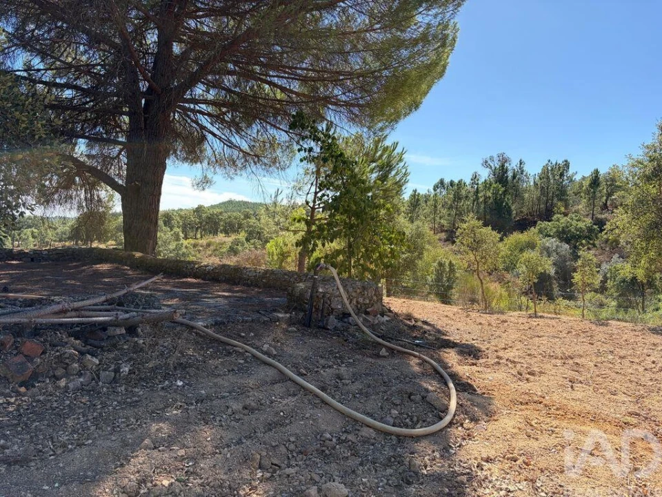 Terreno para Venda em Mação, Penhascoso e Aboboreira Foto 7