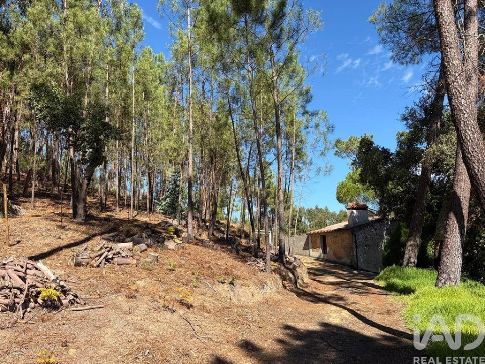 Terreno para Venda em Mação, Penhascoso e Aboboreira Foto 2