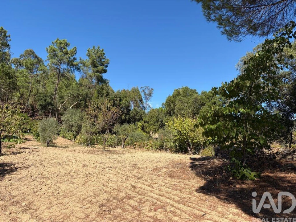 Terreno para Venda em Mação, Penhascoso e Aboboreira Foto 8