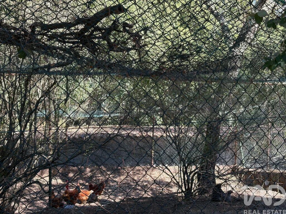 Terreno para Venda em Mação, Penhascoso e Aboboreira Foto 34