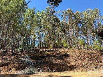 Terreno para Venda em Mação, Penhascoso e Aboboreira