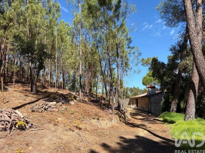 Terreno para Venda em Mação, Penhascoso e Aboboreira Foto 26
