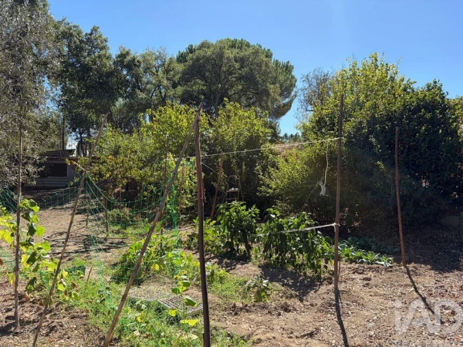 Terreno para Venda em Mação, Penhascoso e Aboboreira Foto 16