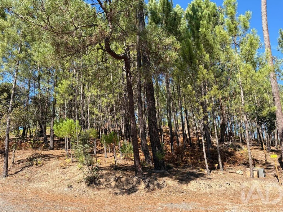 Terreno para Venda em Mação, Penhascoso e Aboboreira Foto 33