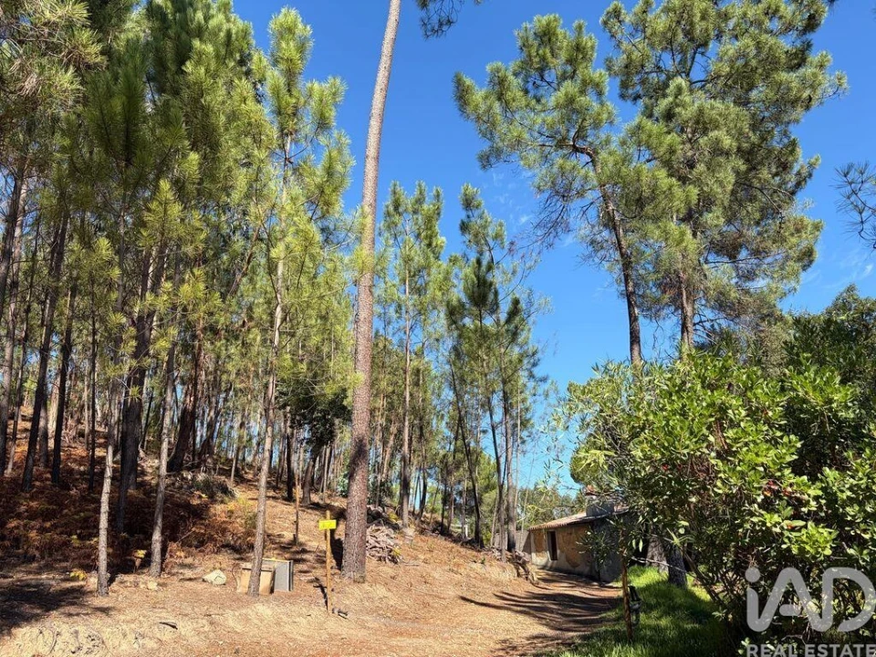 Terreno para Venda em Mação, Penhascoso e Aboboreira Foto 27