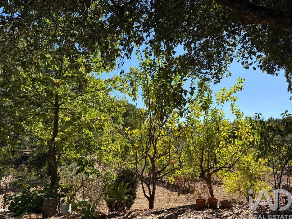 Terreno para Venda em Mação, Penhascoso e Aboboreira Foto 19