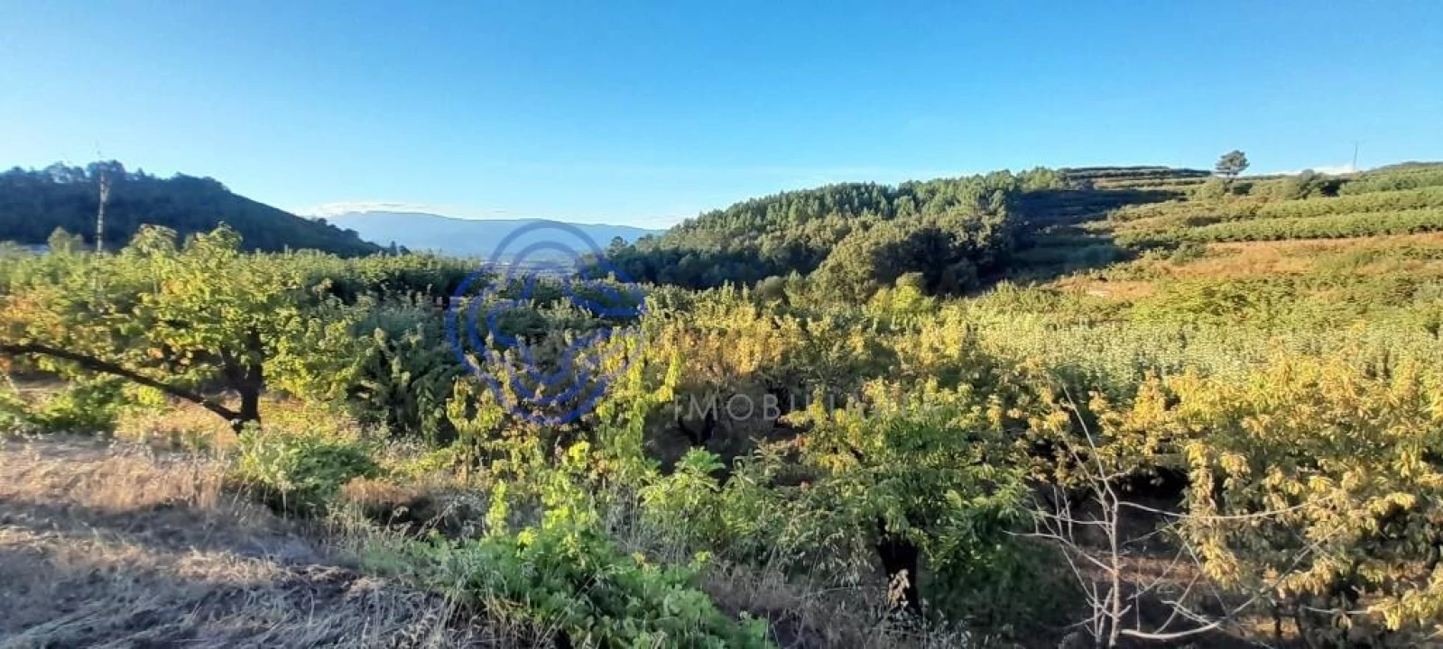 Quinta T3 para Venda em Três Povos Foto 12