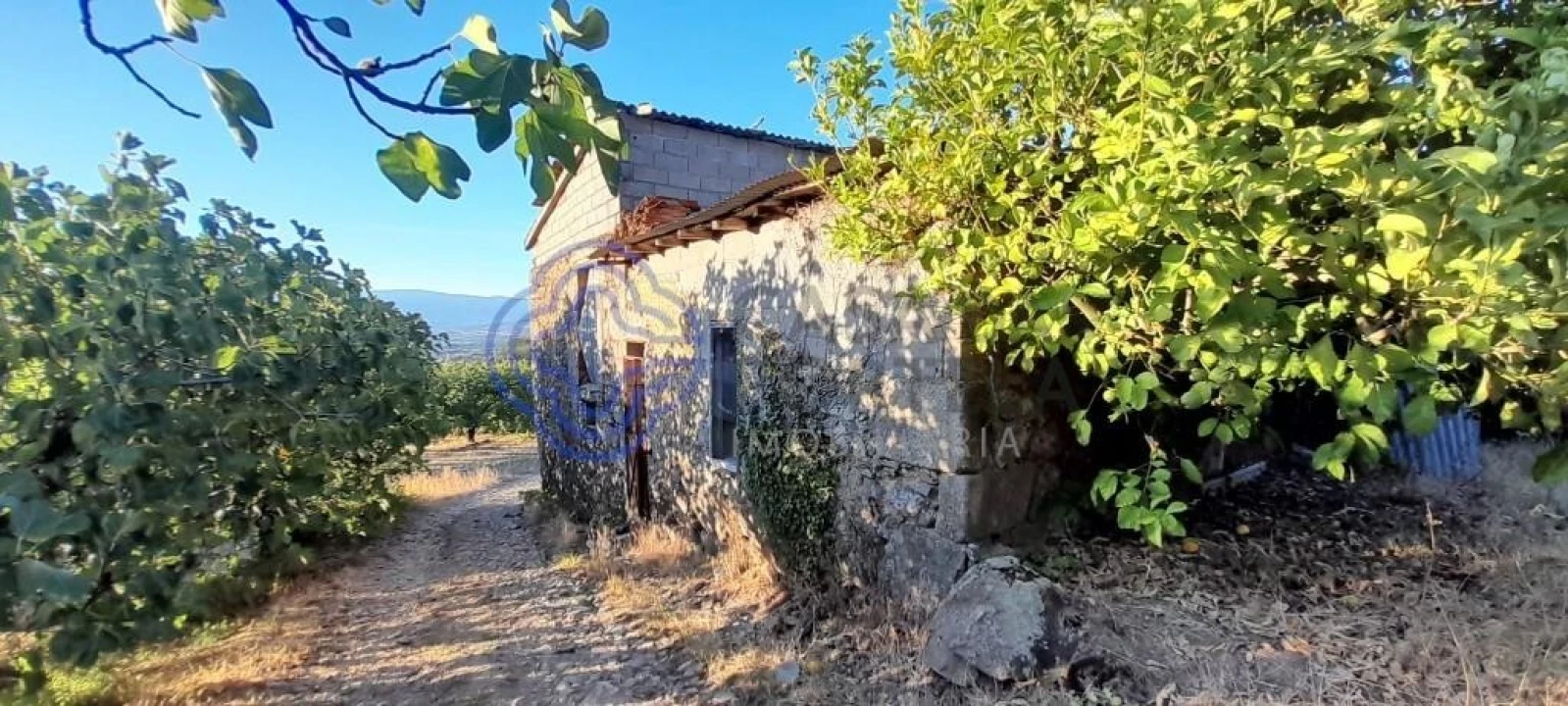 Quinta T3 para Venda em Três Povos Foto 16