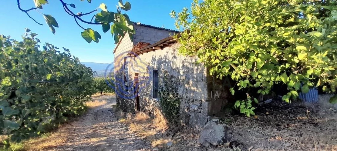 Quinta T3 para Venda em Três Povos Foto 16