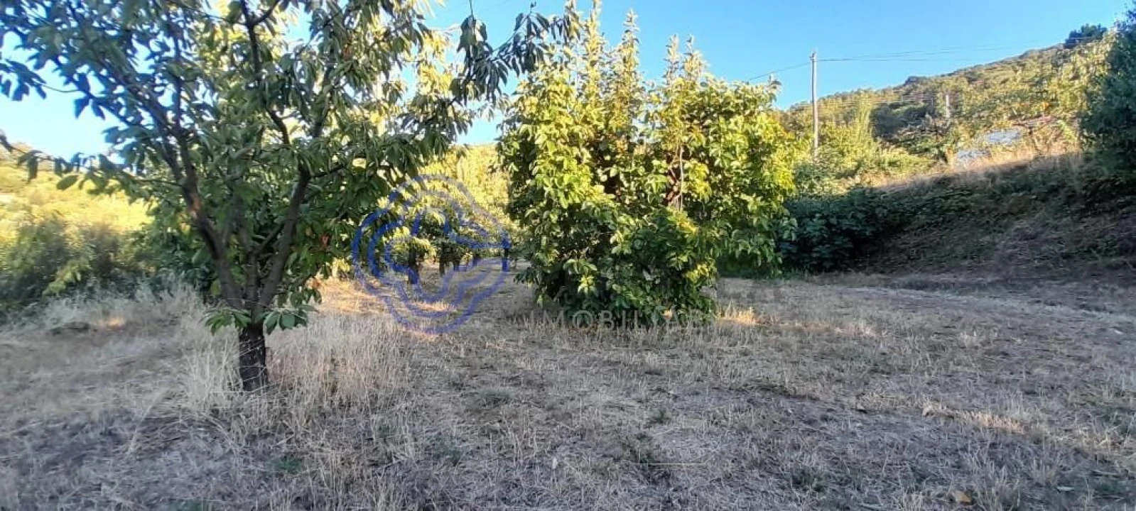 Quinta T3 para Venda em Três Povos Foto 13