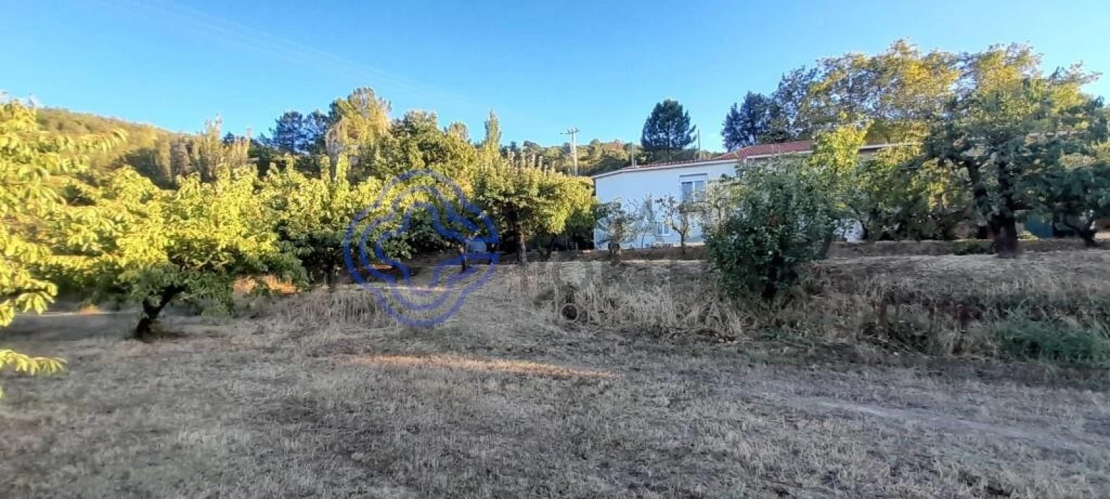 Quinta T3 para Venda em Três Povos Foto 11