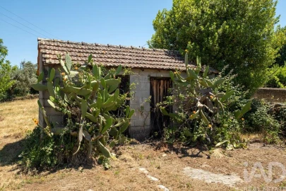 Terreno para Venda em Mouronho
