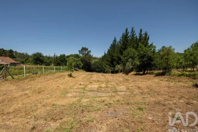 Terreno para Venda em Mouronho