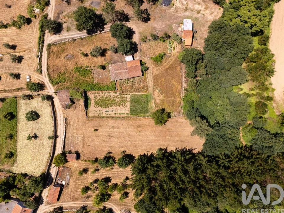 Terreno para Venda em Mouronho Foto 13