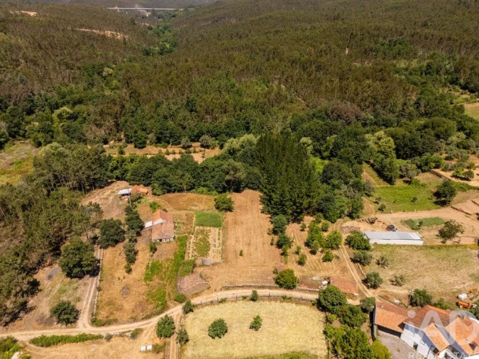 Terreno para Venda em Mouronho Foto 15