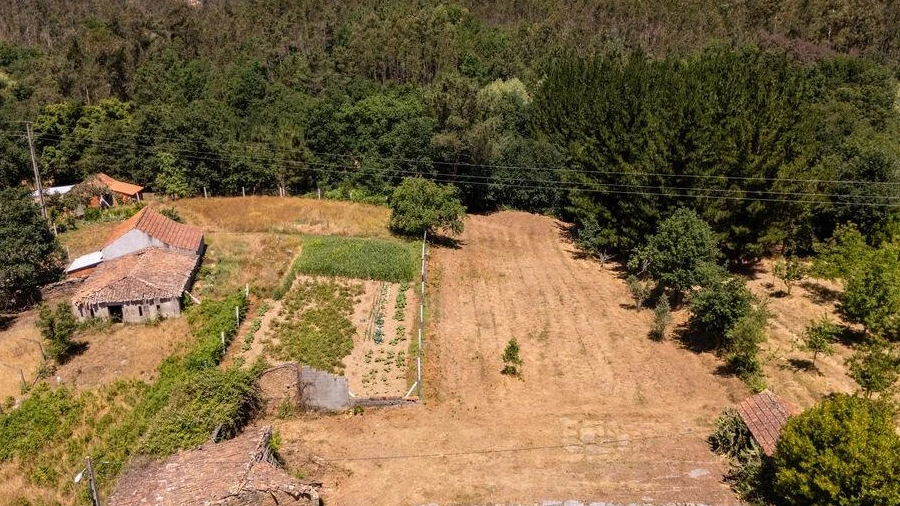 Terreno para Venda em Mouronho