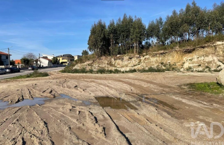 Terreno para Venda em Freamunde Foto 14