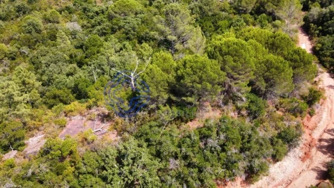 Terreno para Venda em Azeitão (São Lourenço e São Simão)