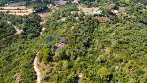 Terreno para Venda em Azeitão (São Lourenço e São Simão)